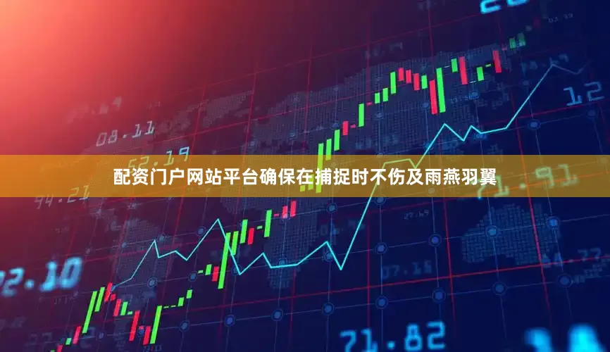 配资门户网站平台确保在捕捉时不伤及雨燕羽翼