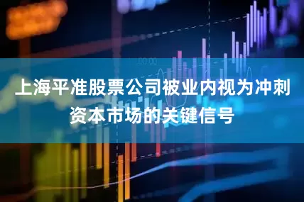 上海平准股票公司被业内视为冲刺资本市场的关键信号