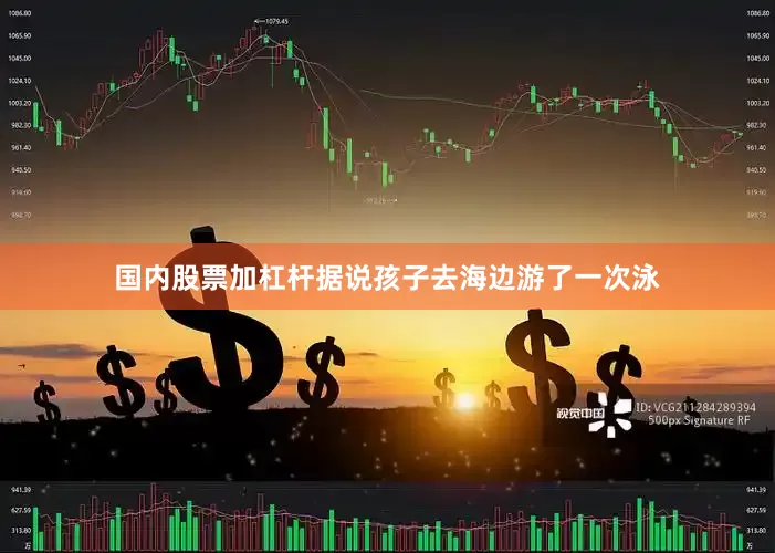 国内股票加杠杆据说孩子去海边游了一次泳