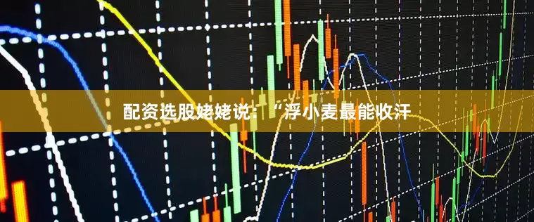 配资选股姥姥说：“浮小麦最能收汗