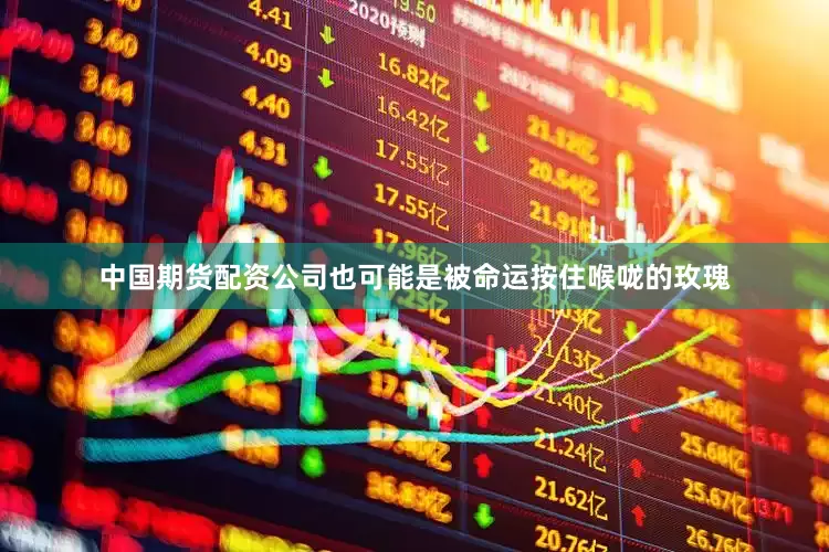 中国期货配资公司也可能是被命运按住喉咙的玫瑰